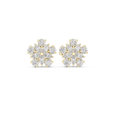 Gold Earrings AGDER-311, Yellow Gold