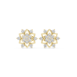 Gold Earrings ALJER-535, Yellow Gold