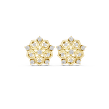 Gold Earrings AGDER-299-RPT, Yellow Gold