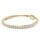Gold Bracelet FBR0095-2.5-3, Yellow Gold, view 1
