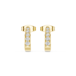 Gold Earrings SBER(15), Yellow Gold