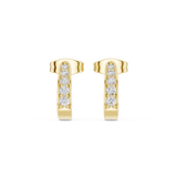 Gold Earrings SBER(15), Yellow Gold