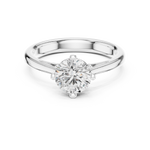 Gold Ring DDLR-555, White Gold