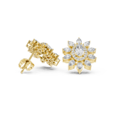 Gold Earrings AGDER-270, Yellow Gold, view 1