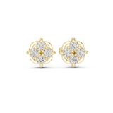 Gold Earrings 9-10050E, Yellow Gold