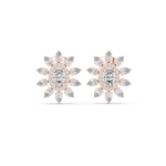 Gold Earrings AGDER-270, Rose Gold