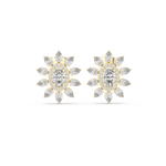 Gold Earrings AGDER-270, Yellow Gold