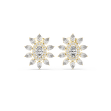 Gold Earrings AGDER-270, Yellow Gold