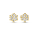 Gold Earrings 9-10048E, Yellow Gold