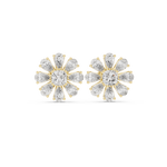 Gold Earrings AER-44, Yellow Gold