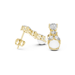 Gold Earrings AER-1, Yellow Gold, view 1