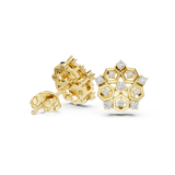 Gold Earrings AGDER-299-RPT, Yellow Gold, view 1