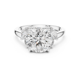 Gold Ring DDLR-074, White Gold
