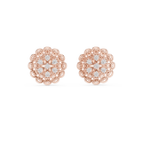 Gold Earrings 12-10004@E, Rose Gold